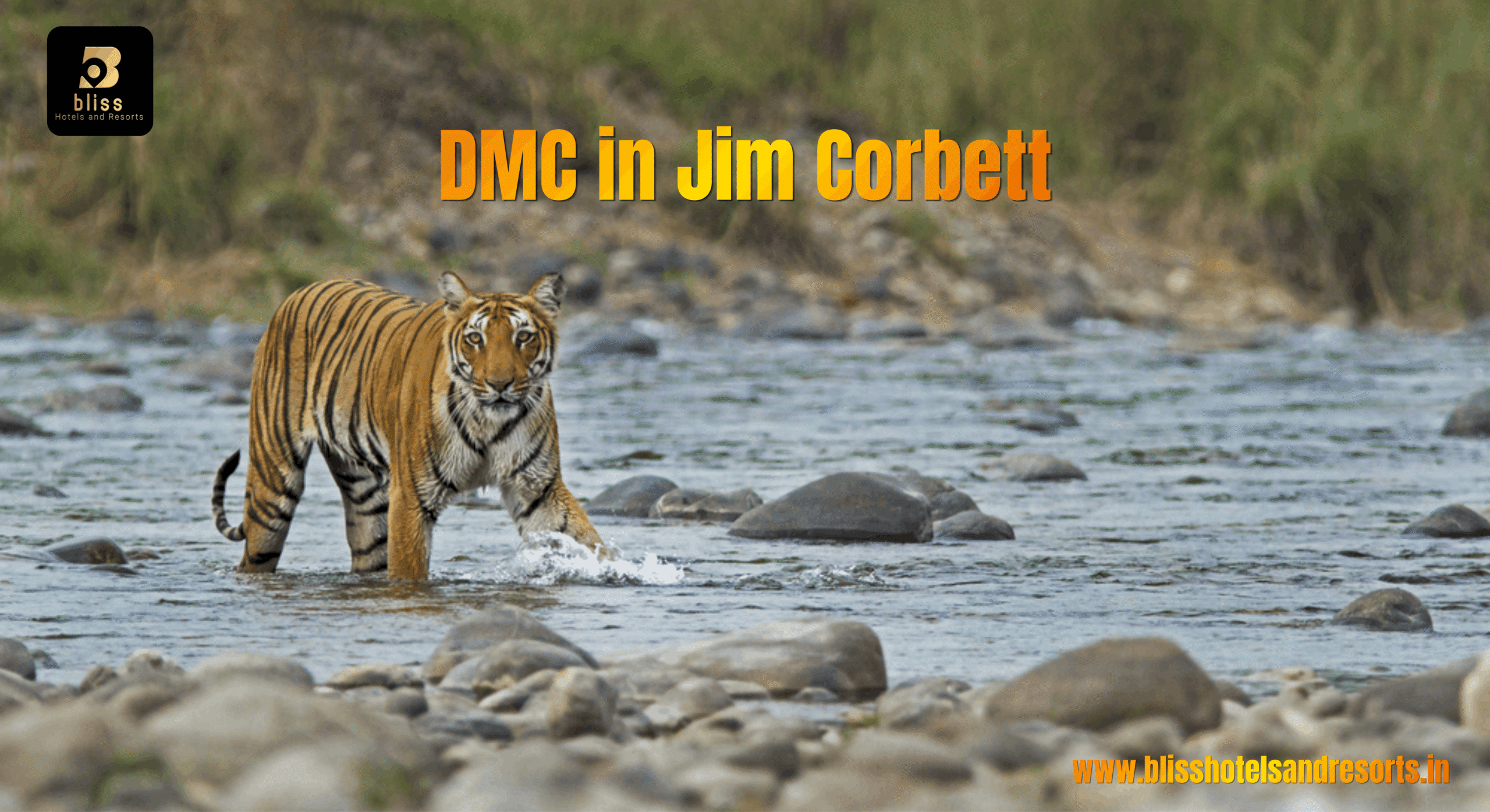 DMC-in-jim-corbett-Bliss-Hotel-And-Resorts-